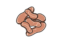 식품의 접착