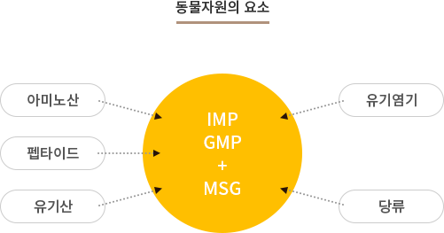 동물자원의 요소 =  IMP GMP+MSG(아미노산, 펩타이드, 유기산, 유기염기, 당류)