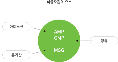 식물자원의 요소 = AMP GMP+MSG(아미노산, 유기산, 당류)
