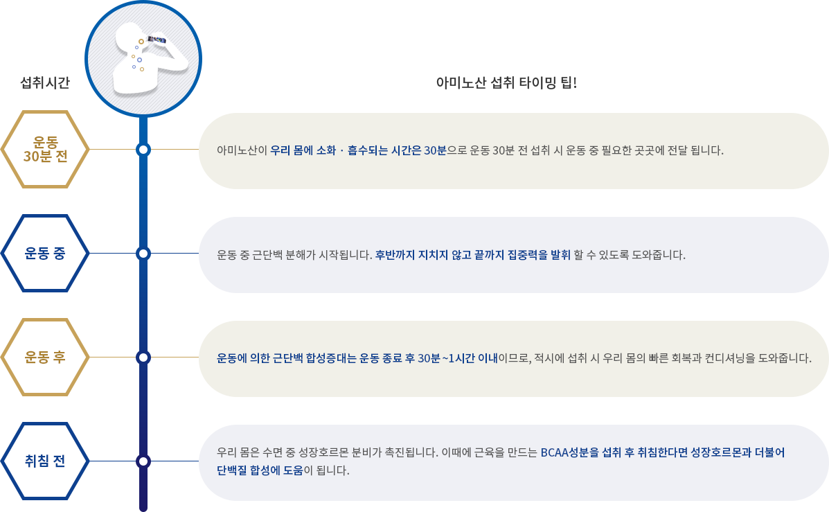 운동 30분 전 - 아미노산이 우리 몸에 소화 · 흡수되는 시간은 30분으로 운동 30분 전 섭취 시 운동 중 필요한 곳곳에 전달 됩니다. 운동 중 - 운동 중 근단백 분해가 시작됩니다. 장시간 고강도의 운동에서 운동 중 섭취는 후반까지 지치지 않도록 끝까지 집중력을 발휘할 수 있도록 도와줍니다. 운동 후- 운동에 의한 근단백 합성증대는 운동 종료 후 30~1시간 이내이므로, 적시에 섭취 시 우리 몸의 빠른 회복과 컨디셔닝을 도와줍니다. 취침 전 - 우리 몸은 수면 중 성장호르몬 분비가 촉진됩니다. 이때에 근육을 만드는 BCAA성분을 섭취 후 취침한다면 성장호르몬과 더불어 단백질 합성에 도움이 됩니다.