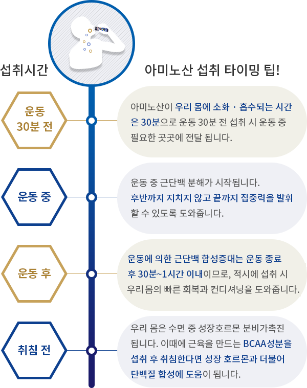 운동 30분 전 - 아미노산이 우리 몸에 소화 · 흡수되는 시간은 30분으로 운동 30분 전 섭취 시 운동 중 필요한 곳곳에 전달 됩니다. 운동 중 - 운동 중 근단백 분해가 시작됩니다. 장시간 고강도의 운동에서 운동 중 섭취는 후반까지 지치지 않도록 끝까지 집중력을 발휘할 수 있도록 도와줍니다. 운동 후- 운동에 의한 근단백 합성증대는 운동 종료 후 30~1시간 이내이므로, 적시에 섭취 시 우리 몸의 빠른 회복과 컨디셔닝을 도와줍니다. 취침 전 - 우리 몸은 수면 중 성장호르몬 분비가 촉진됩니다. 이때에 근육을 만드는 BCAA성분을 섭취 후 취침한다면 성장호르몬과 더불어 단백질 합성에 도움이 됩니다.