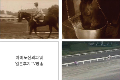 아미노산의파워 일본후지TV방송