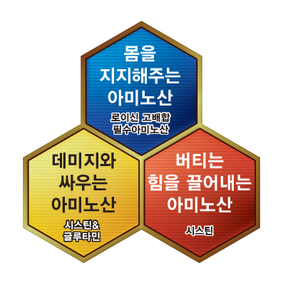 트리플컨디셔닝
