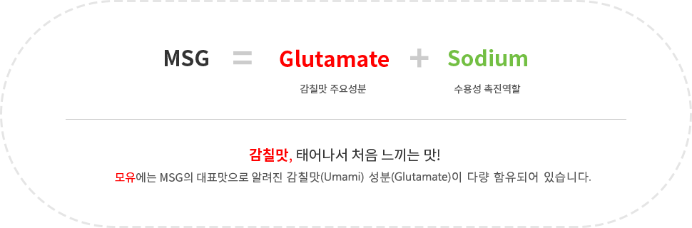 MSG = Glutamate(감칠맛 주요성분) + Sodium(수용성 촉진역할) 감칠맛, 태어나서 처음 느끼는 맛! 모유에는 MSG의 대표맛으로 알려진 감칠맛(Umami)성분(Glutamate)이 다량 함유되어있습니다.