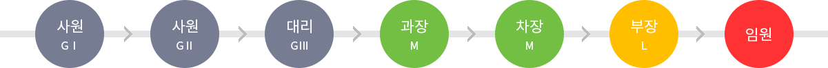 사원GⅠ - 사원GⅡ - 대리GⅢ - 과장M - 차장M - 부장L - 임원