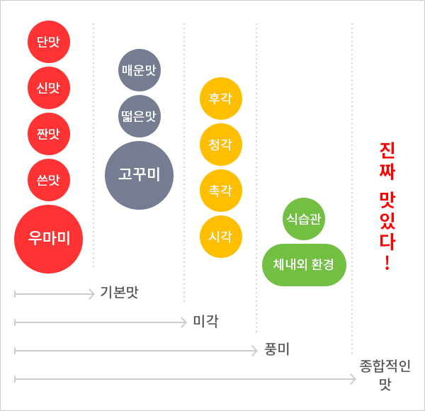 기본맛(우마미):단맛, 신맛, 짠맛, 쓴맛, 미각(고꾸미):매운맛, 떫은맛 풍미:후각,촉각,청각,시각 종합적인 맛:식습관, 체내외 환경 = 진짜 맛있다!